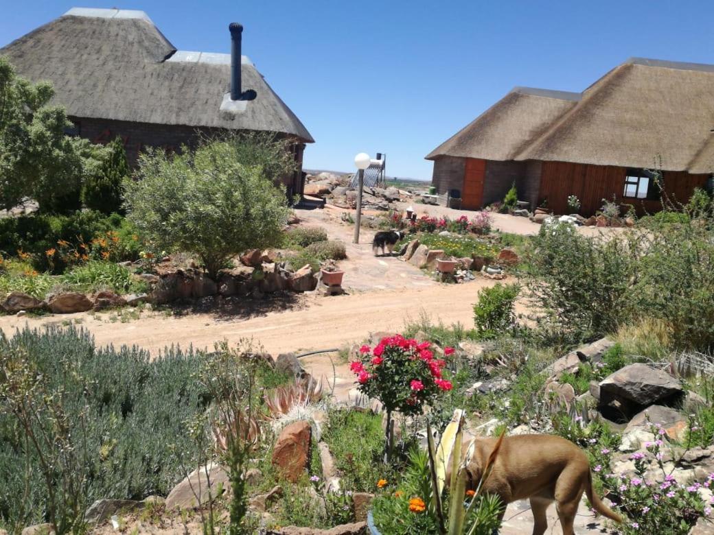 Slypsteen Guest Farm Sternham Exterior foto